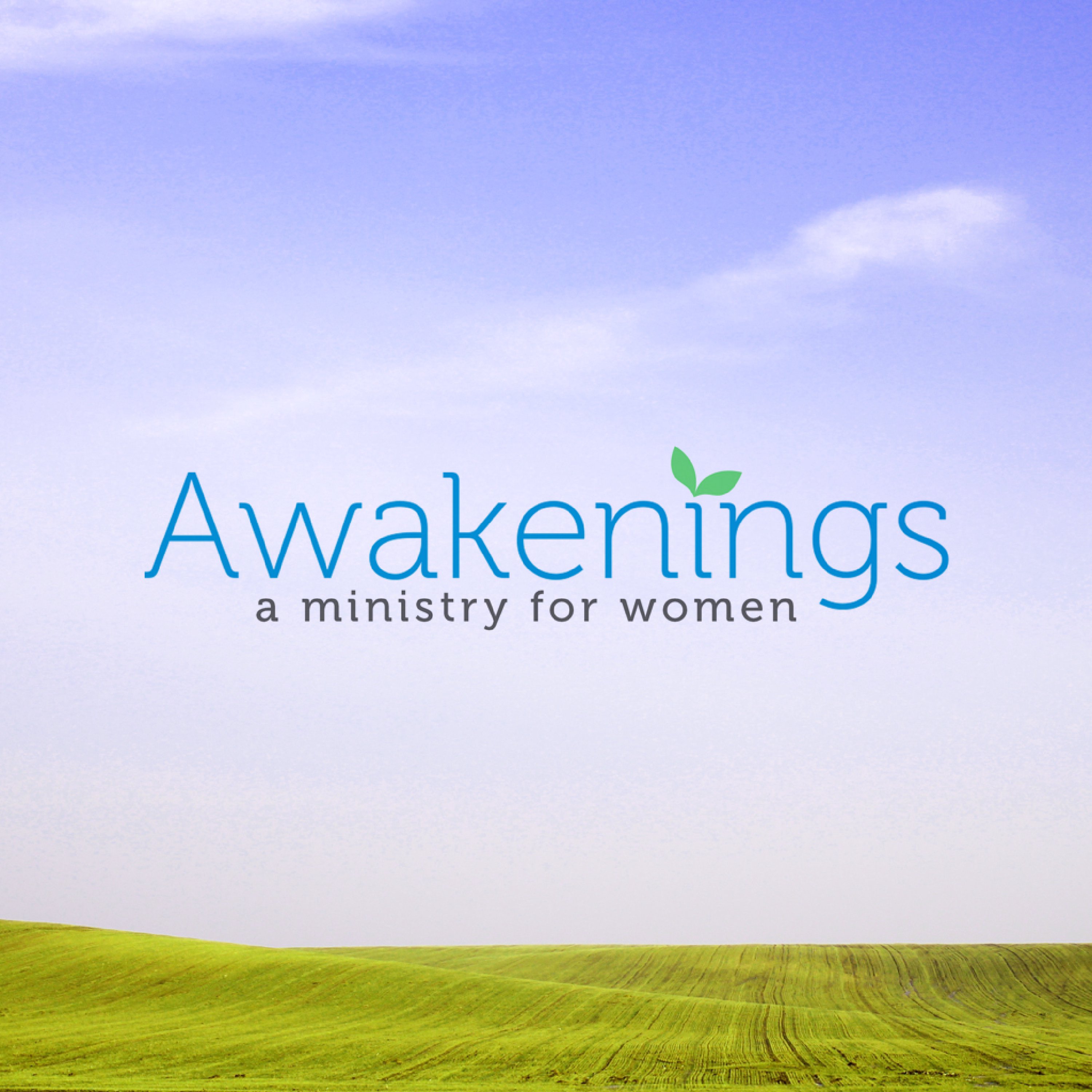 Awakenings: A Bible Study for Women