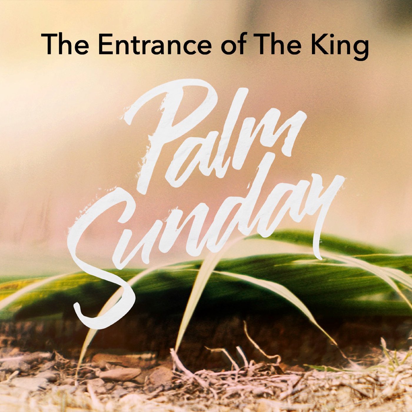 The Entrance Of The King episode artwork