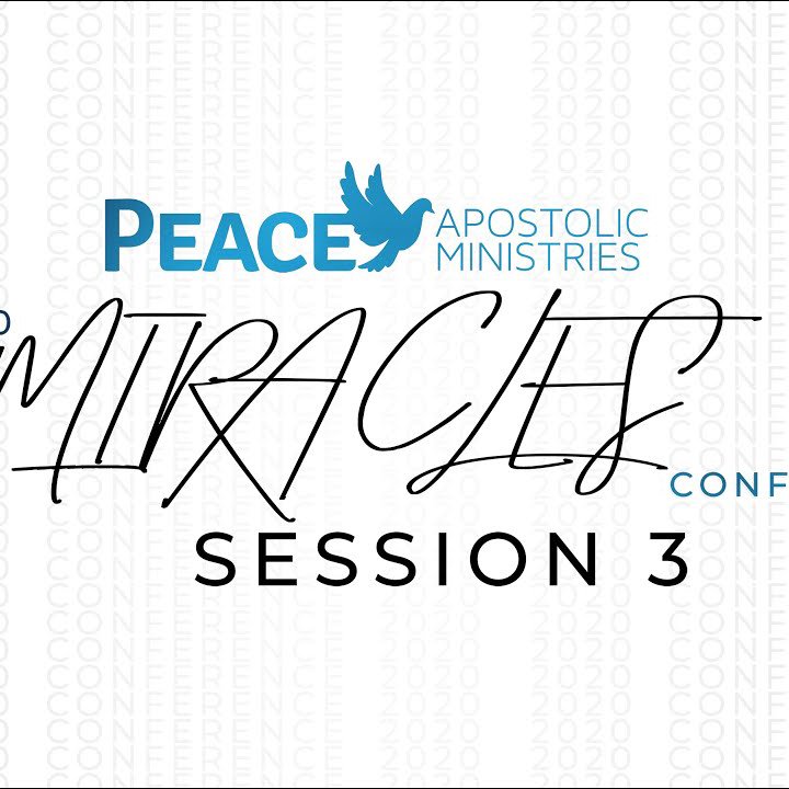 Peace Miracles Conference 2020 - Session 3 episode artwork