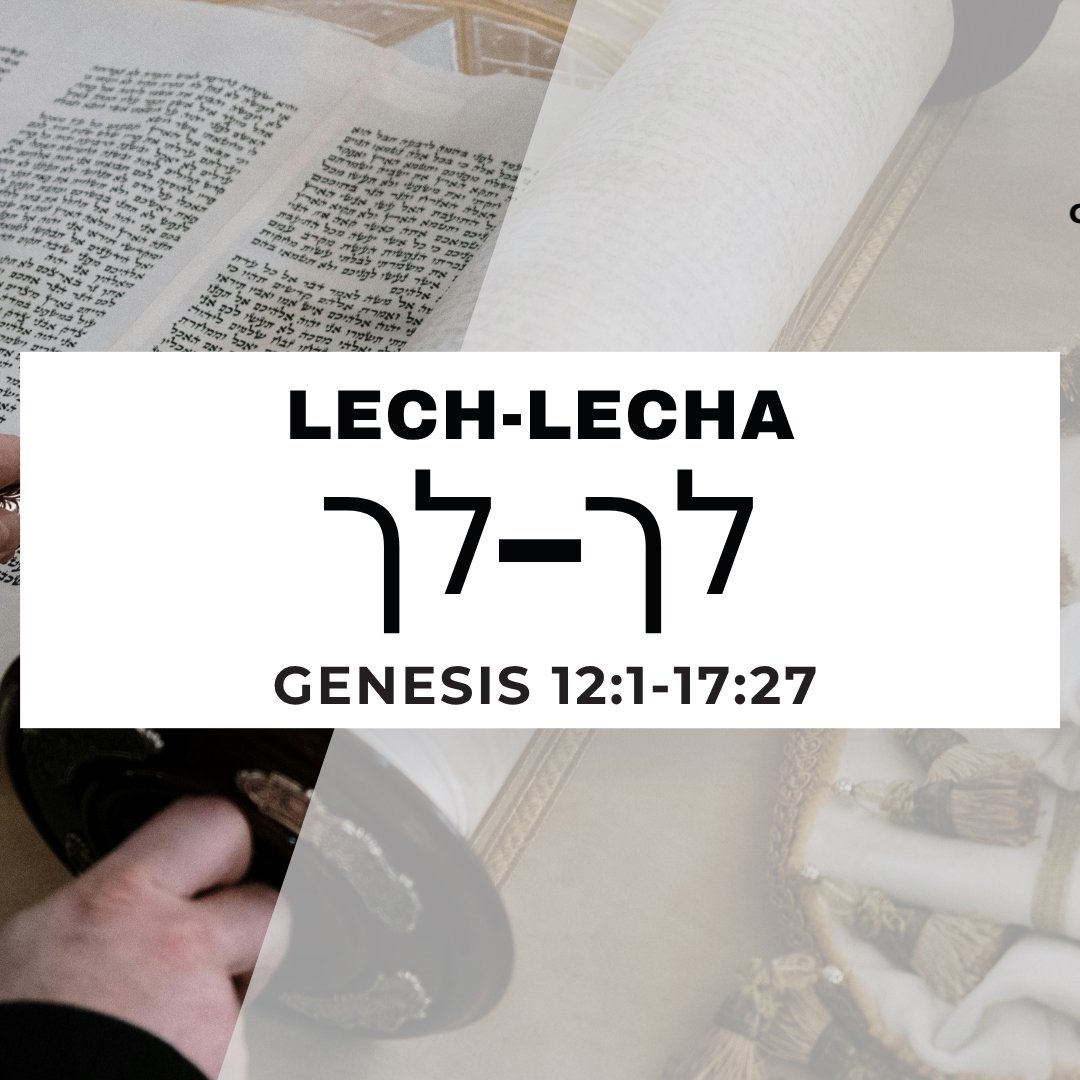 CMC Parasha Lech Lecha 5786