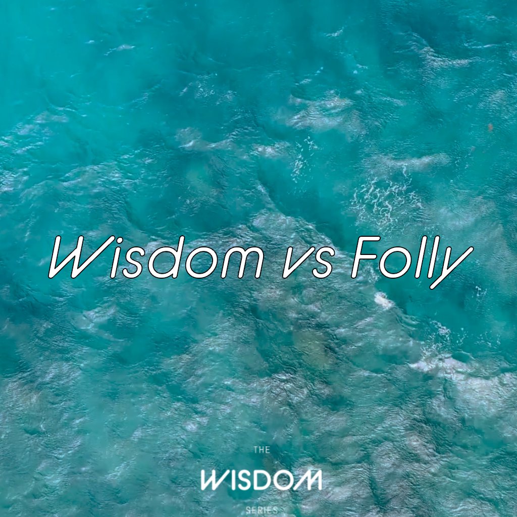 Wisdom vs Folly episode artwork