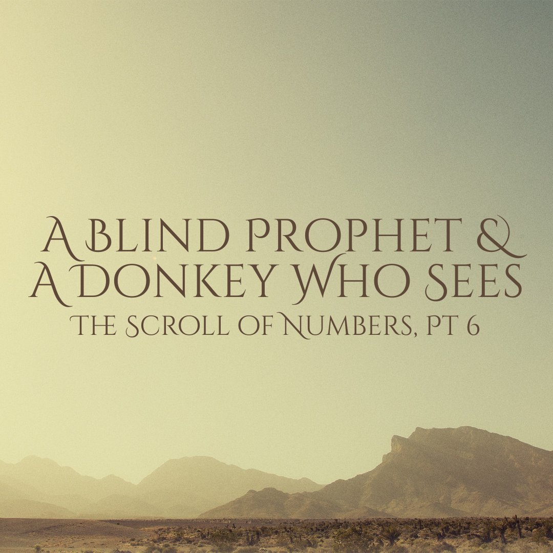 A Blind Prophet & A Donkey Who Sees