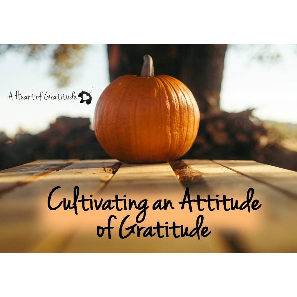11-25-18 - Cultivating an Attitude of Gratitude episode artwork