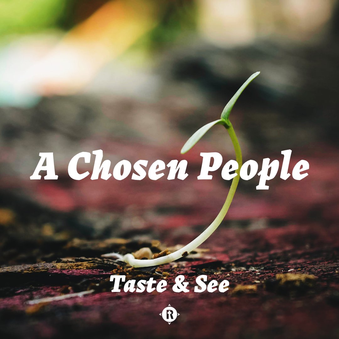 A Chosen People x Taste & See episode artwork