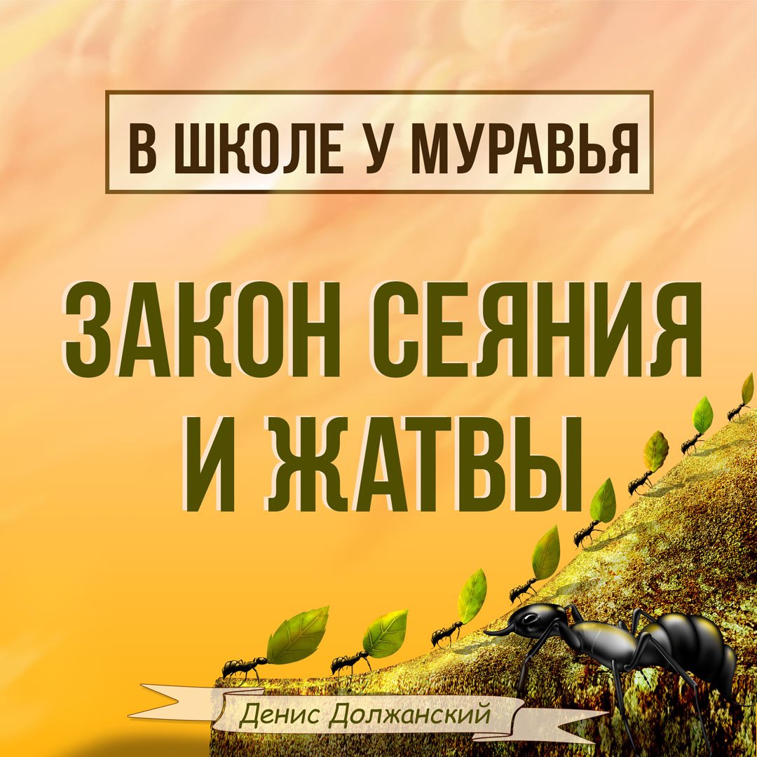 Закон сеяния и жатвы — Денис Должанский