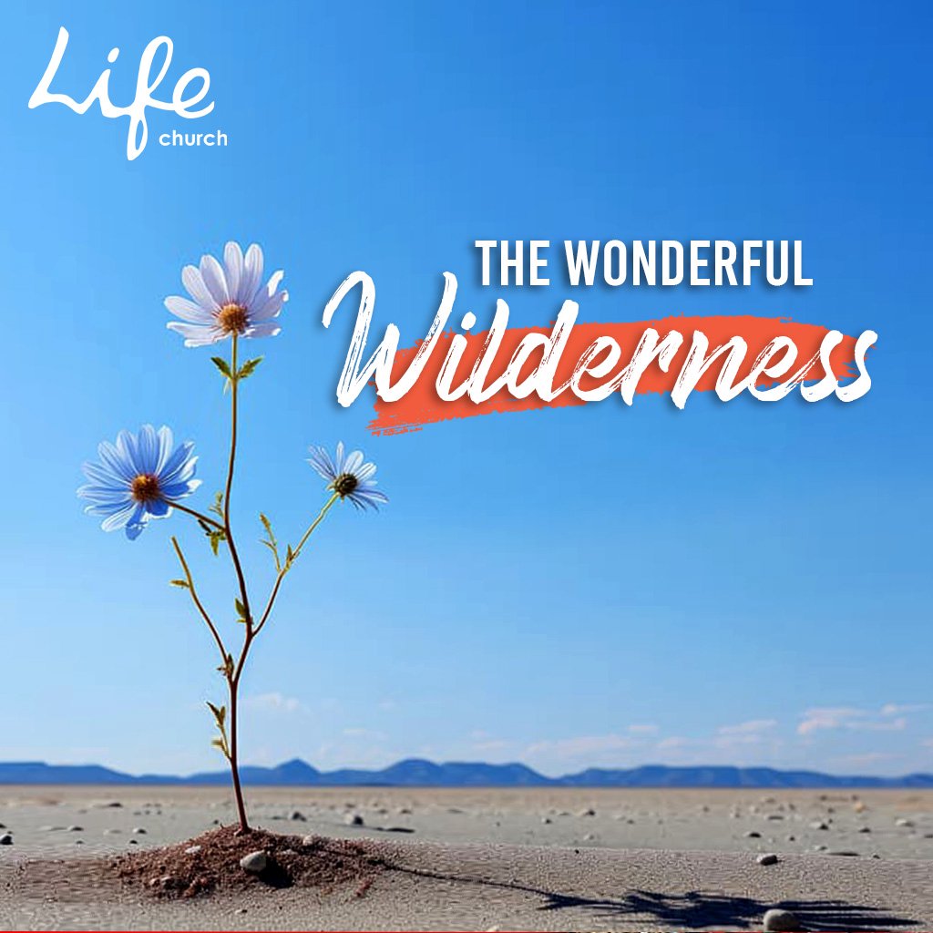 The Wonderful Wilderness episode artwork