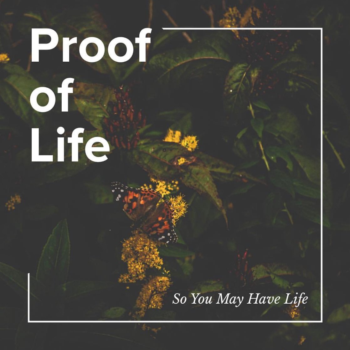Proof of Life episode artwork