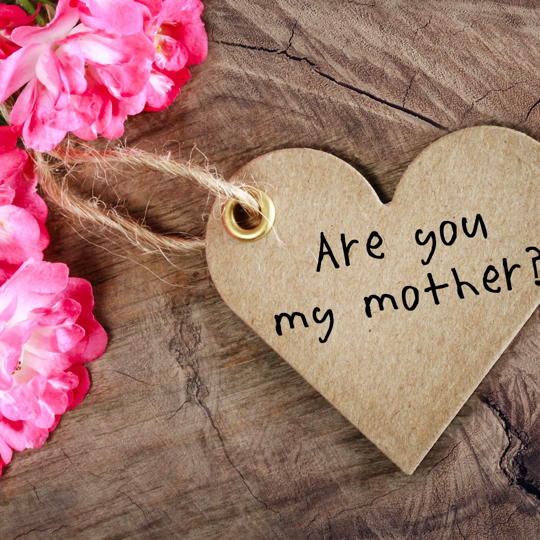 Are You My Mother? episode artwork