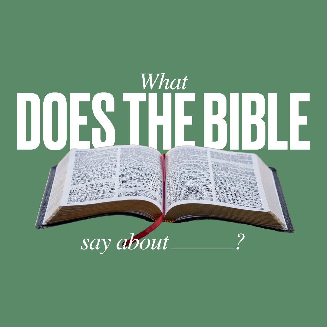 What Does the Bible Say About Politics | Jeremy Clements episode artwork