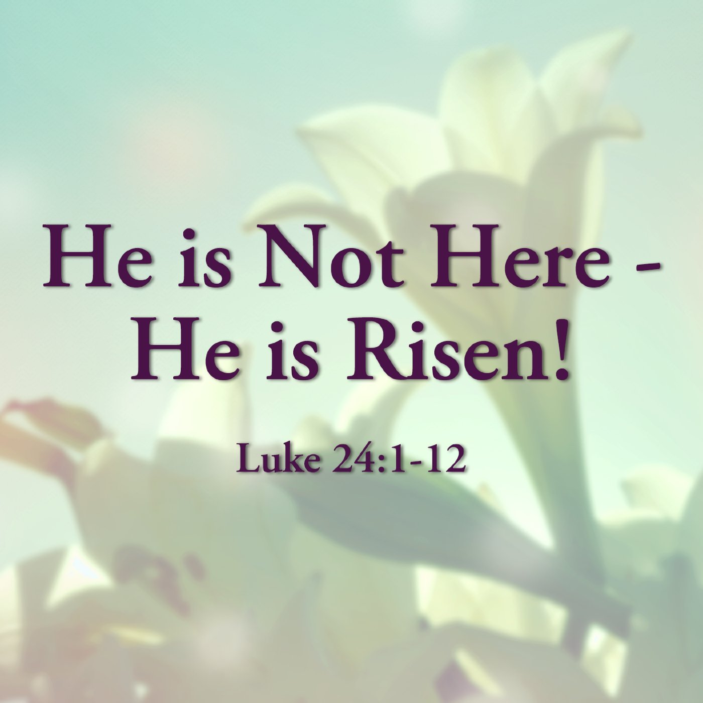 "He is Not Here – He is Risen!" "He is Not Here – He is Risen!"