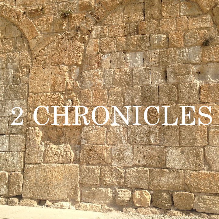 2 Chronicles 1 episode artwork