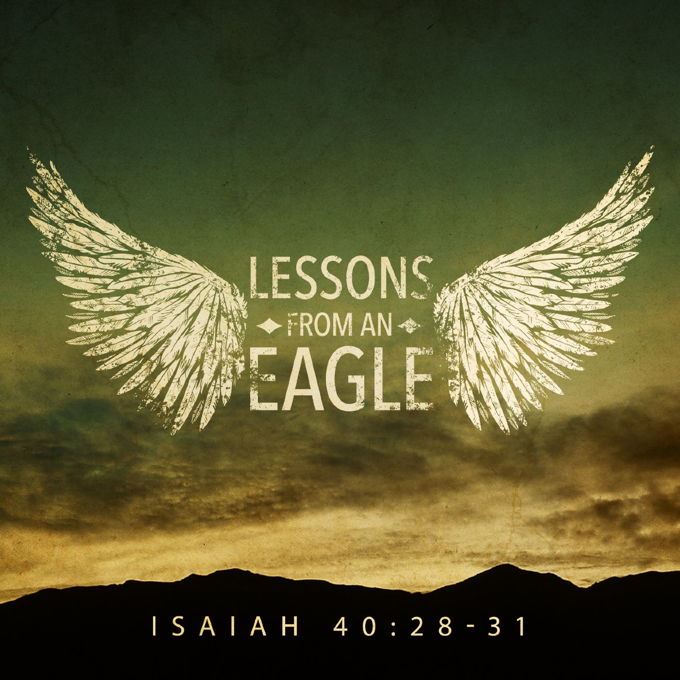Lessons from an Eagle