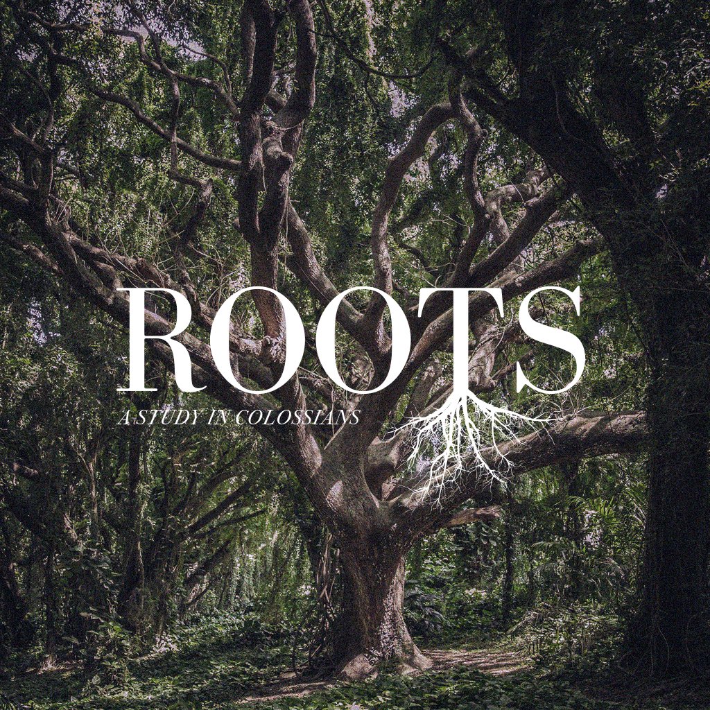 Roots - Week 1