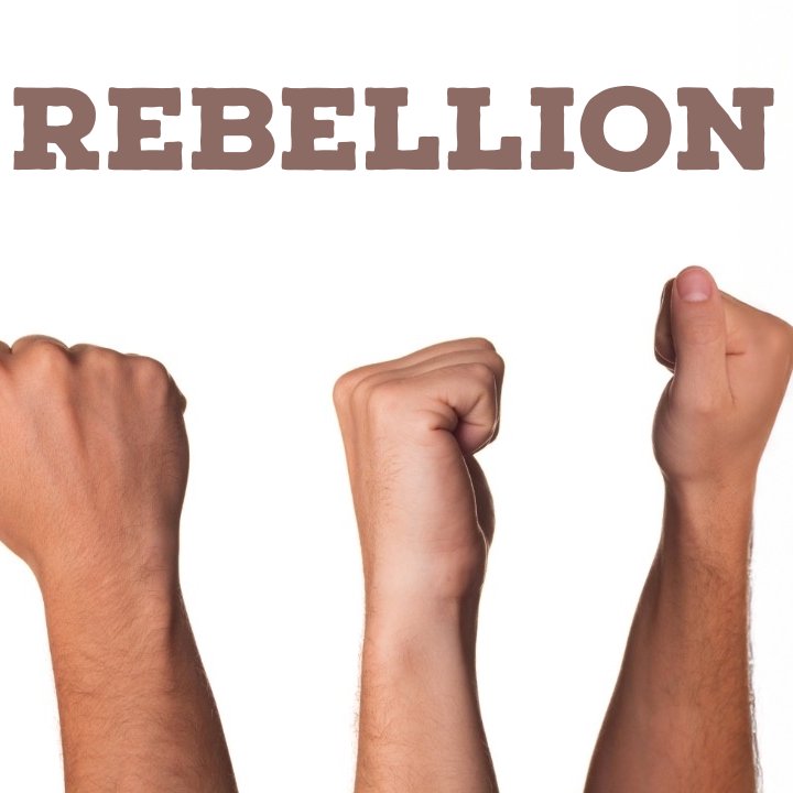 The Rebellion 2.0 The Rebellion 2.0