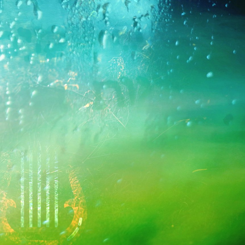 Summer in the Psalms Week 14 | Psalm 32 | Sermon 8/24/25 Summer in the Psalms Week 14 | Psalm 32 | Sermon 8/24/25