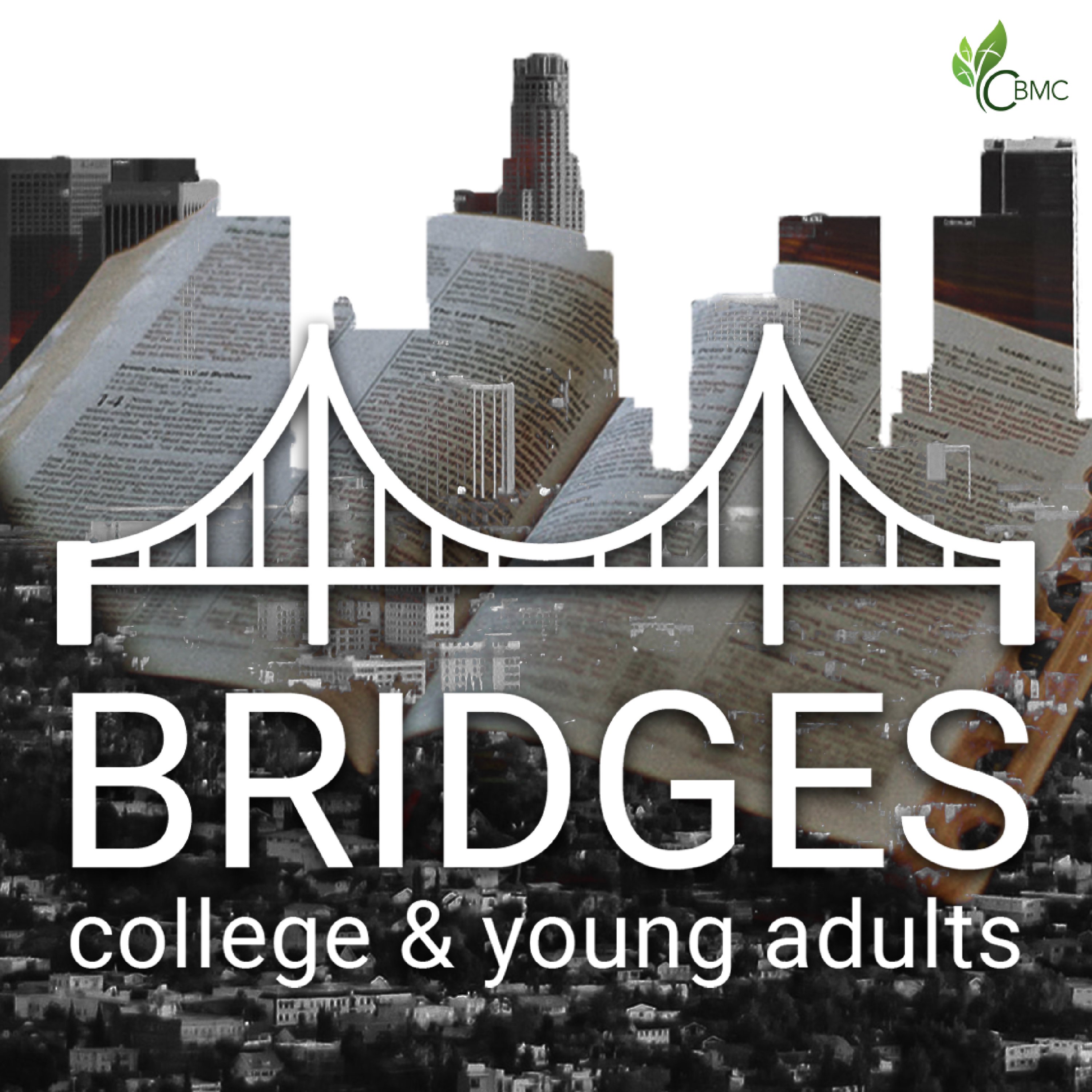 Bridges College and Young Adults