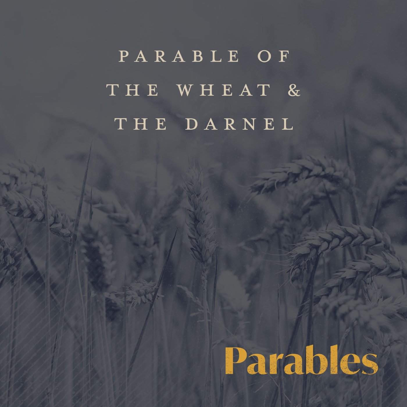 Parable of The Wheat & The Darnel episode artwork