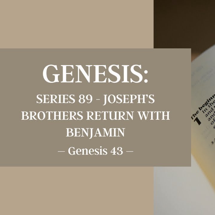 Joseph's Brothers Return with Benjamin | Genesis episode artwork