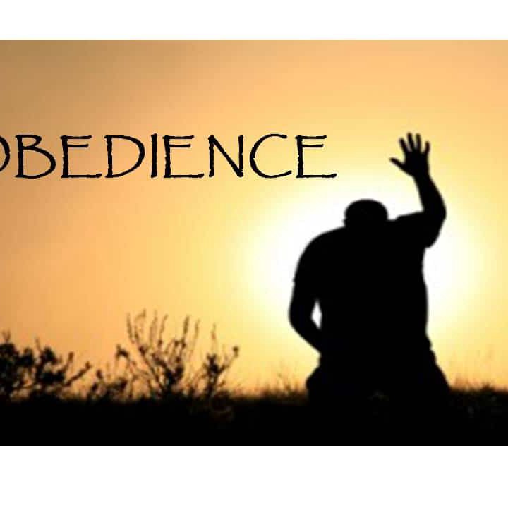 Obedience episode artwork