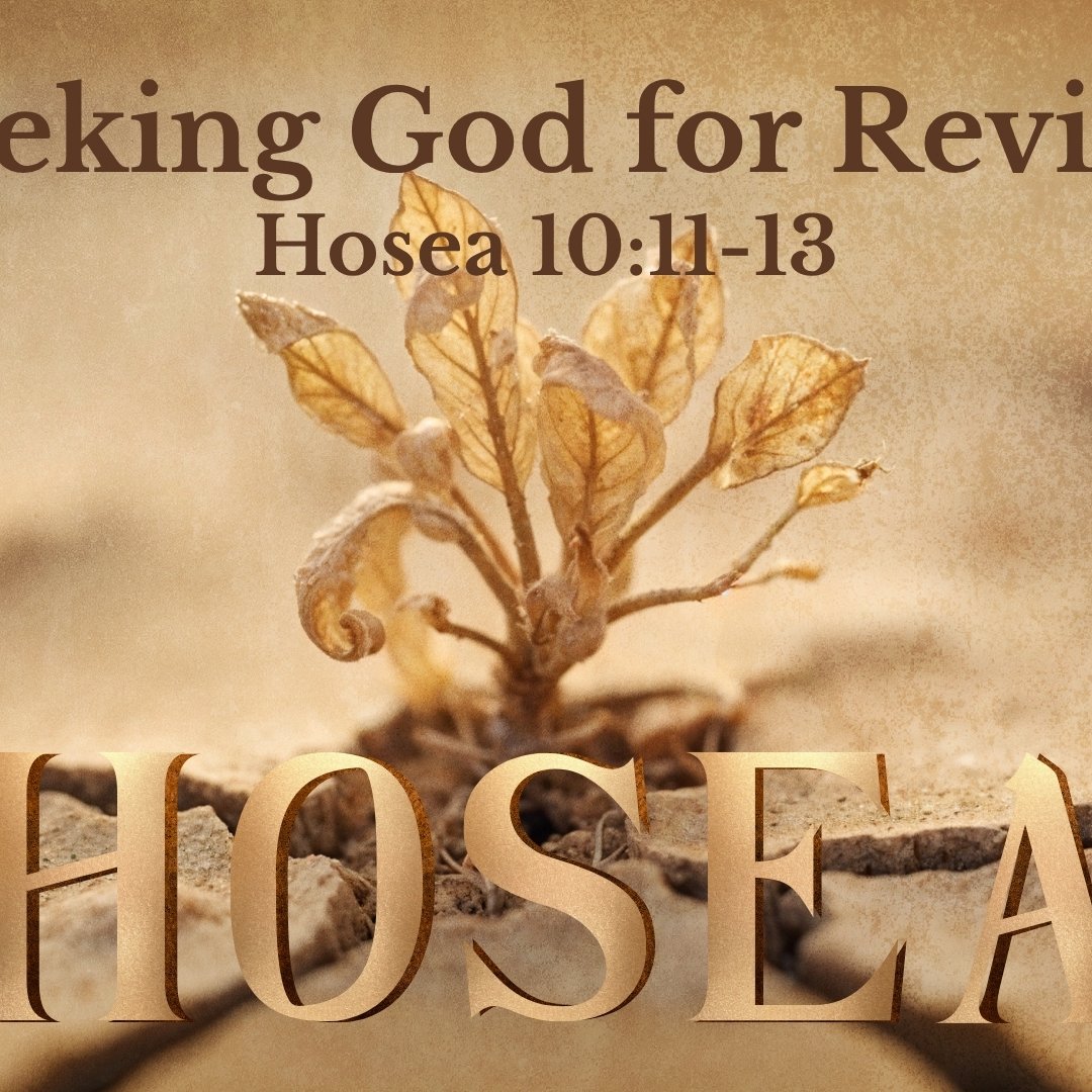 Manna Fellowship Sunday Sermons