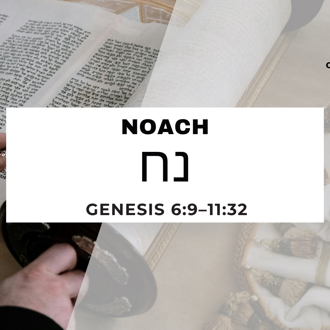 CMC Parasha Noach 5786