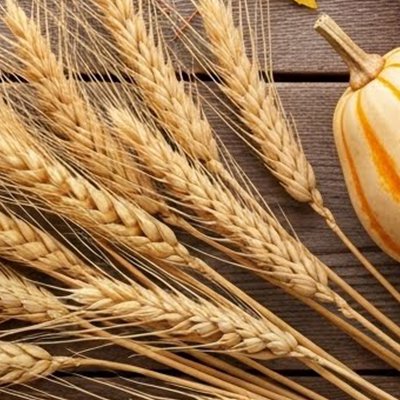 Скрытая опасность ропота