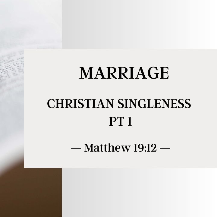 Christian Singleness - Pt 1 | Marriage 2014 episode artwork