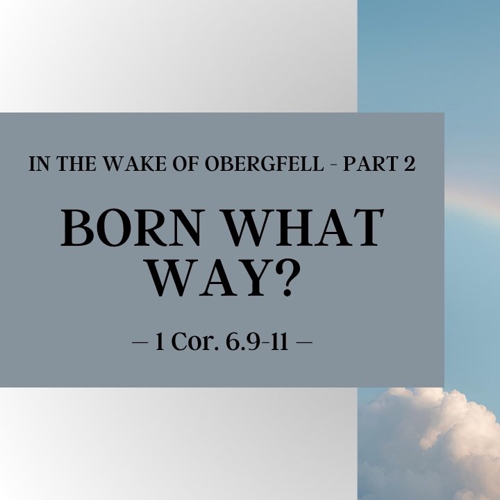 Born What Way? |  In the Wake of Obergefell - Part 2 episode artwork