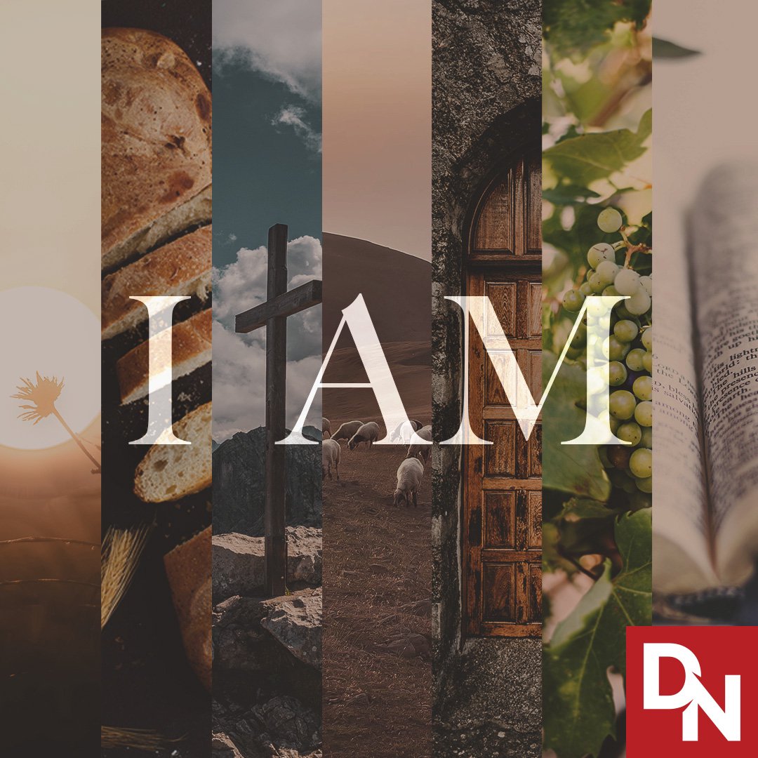 Jesus is the Light - John 8-9 episode artwork