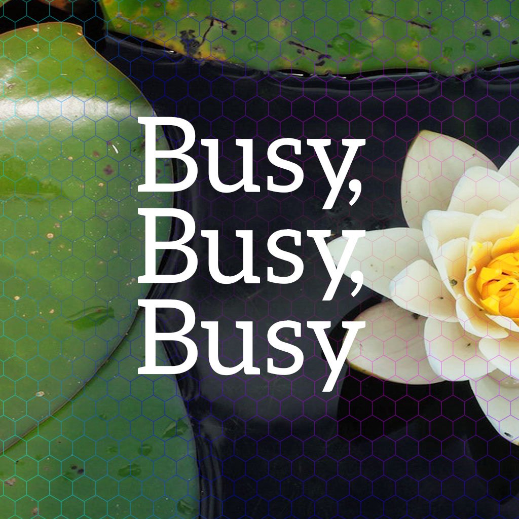 Busy, Busy, Busy episode artwork