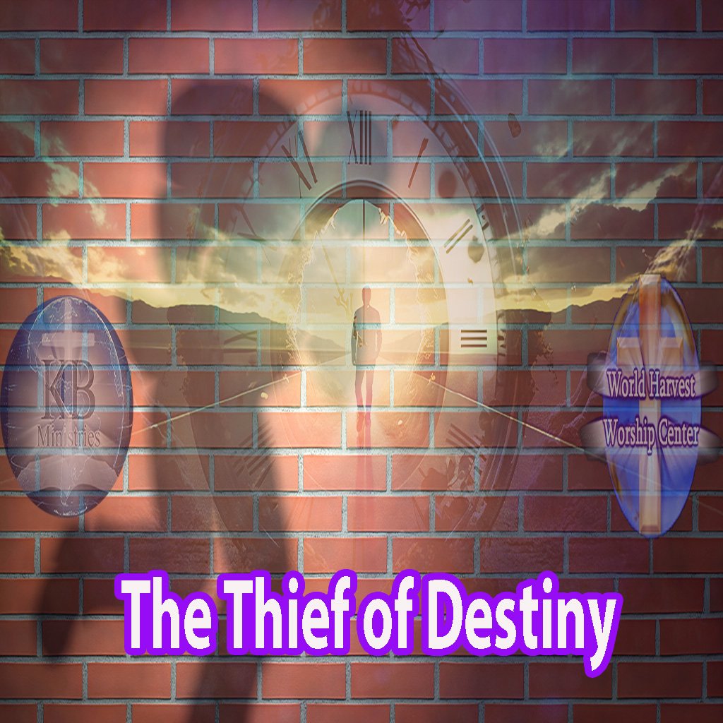 Thief Of Destiny Thief Of Destiny