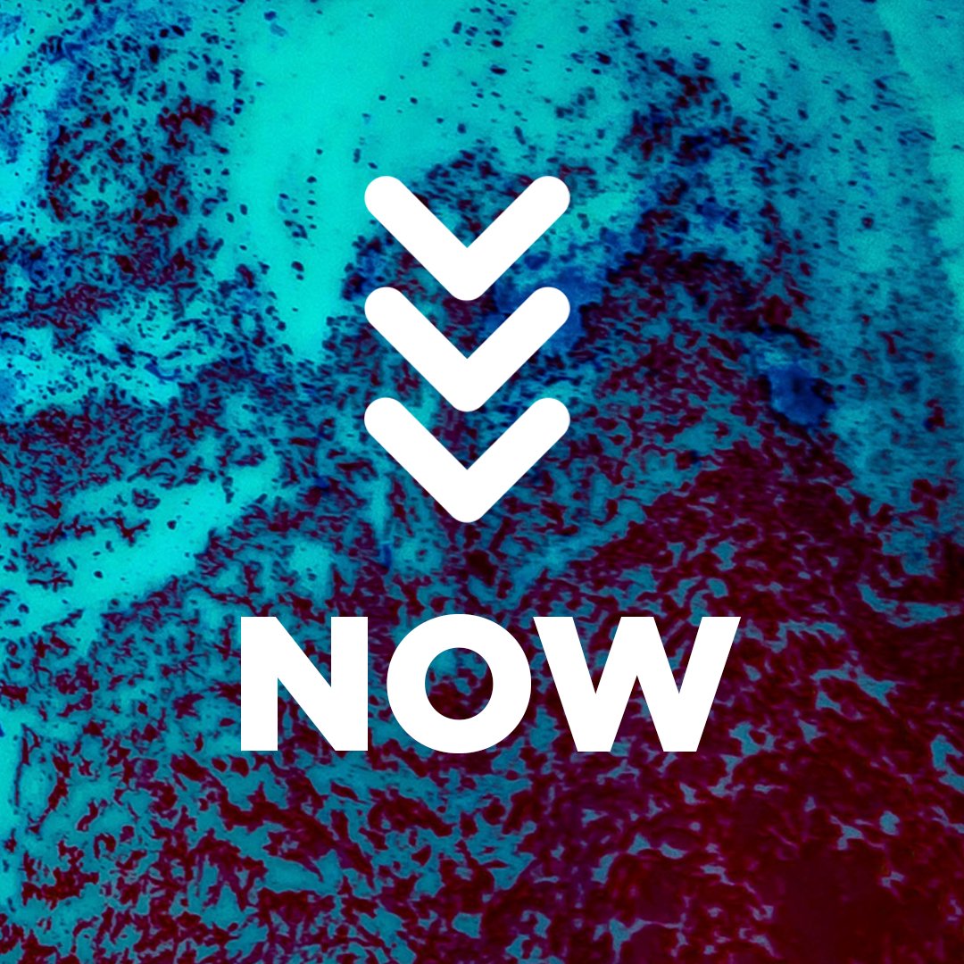 Now episode artwork