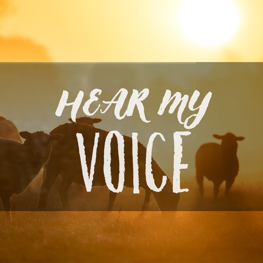 Hear My VOICE Escucha mi voz Pastor Frazier Gonzales episode artwork