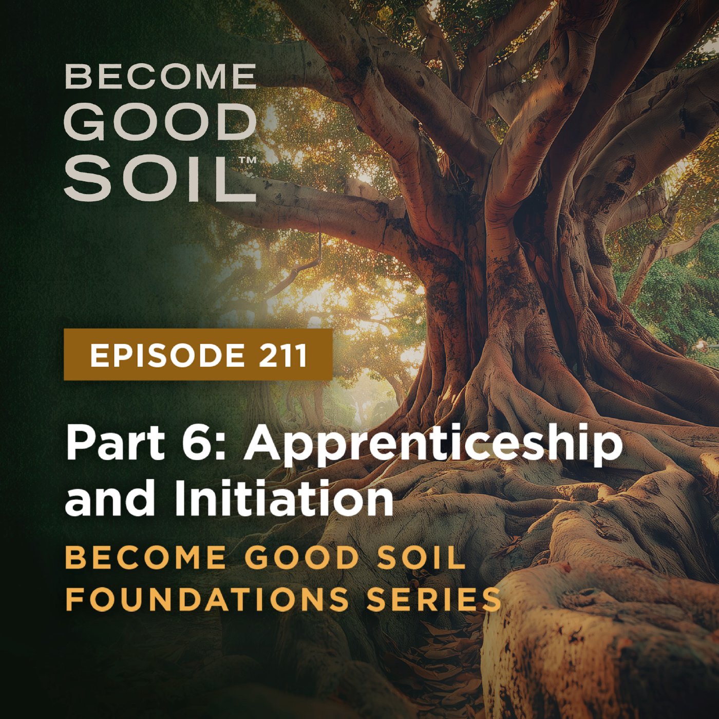 211: Apprenticeship and Initiation – Become Good Soil Foundations Series (Part 6) episode artwork