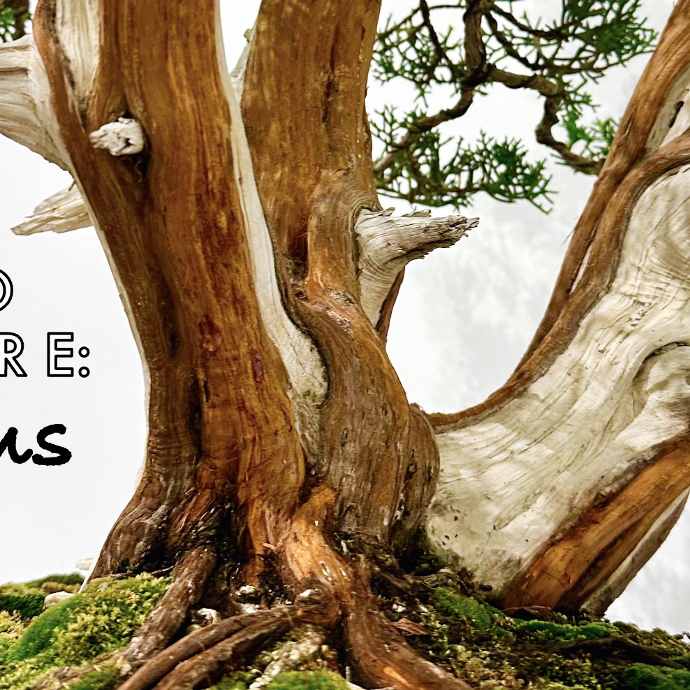 RETROFUTRRE:  Psalms-God's Word