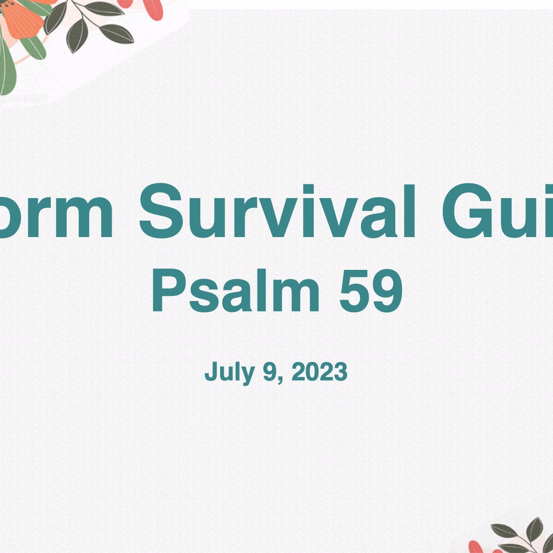 Storm Survival Guide episode artwork