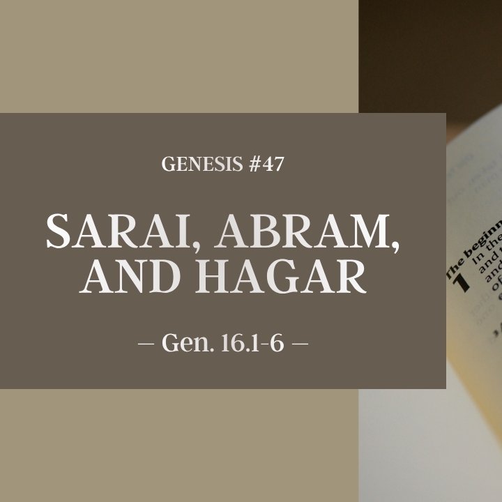 Sarai, Abram, and Hagar | Genesis #47 episode artwork