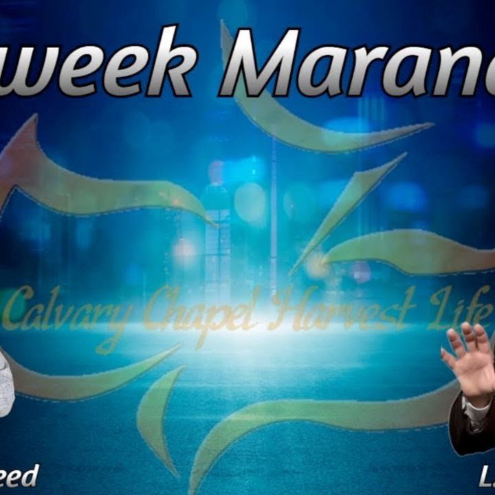L.A. Marzulli Insights