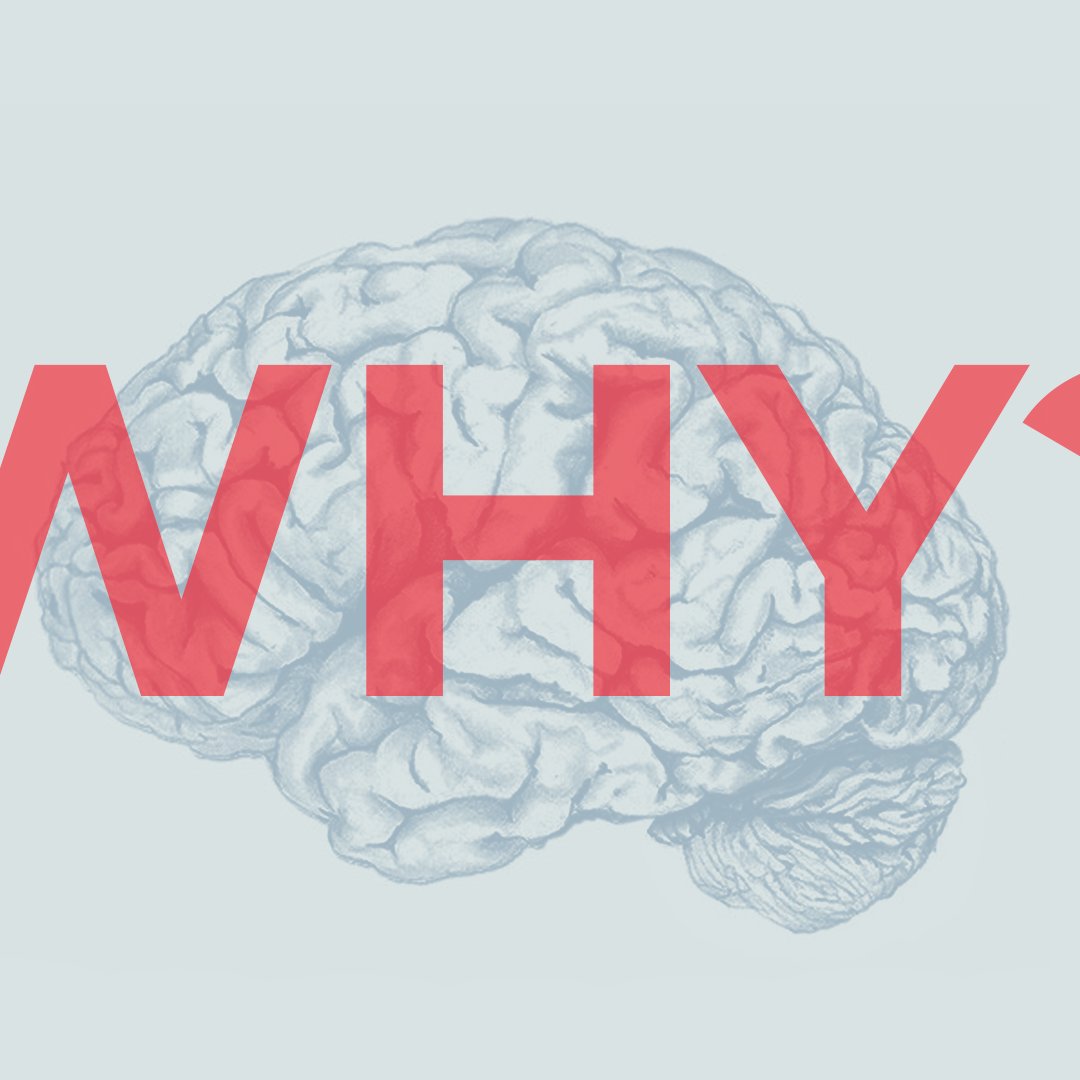Why?: Part 2 episode artwork
