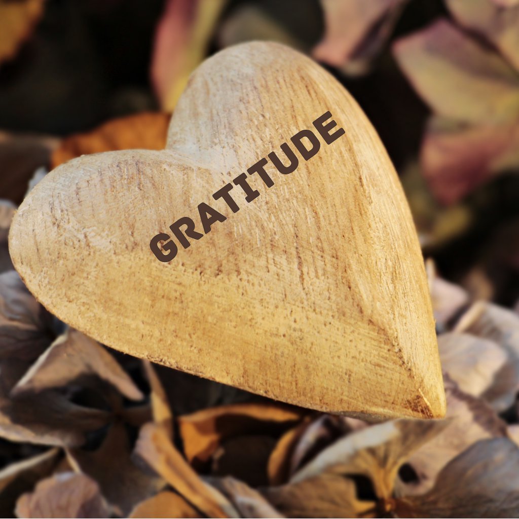 Gratitude episode artwork