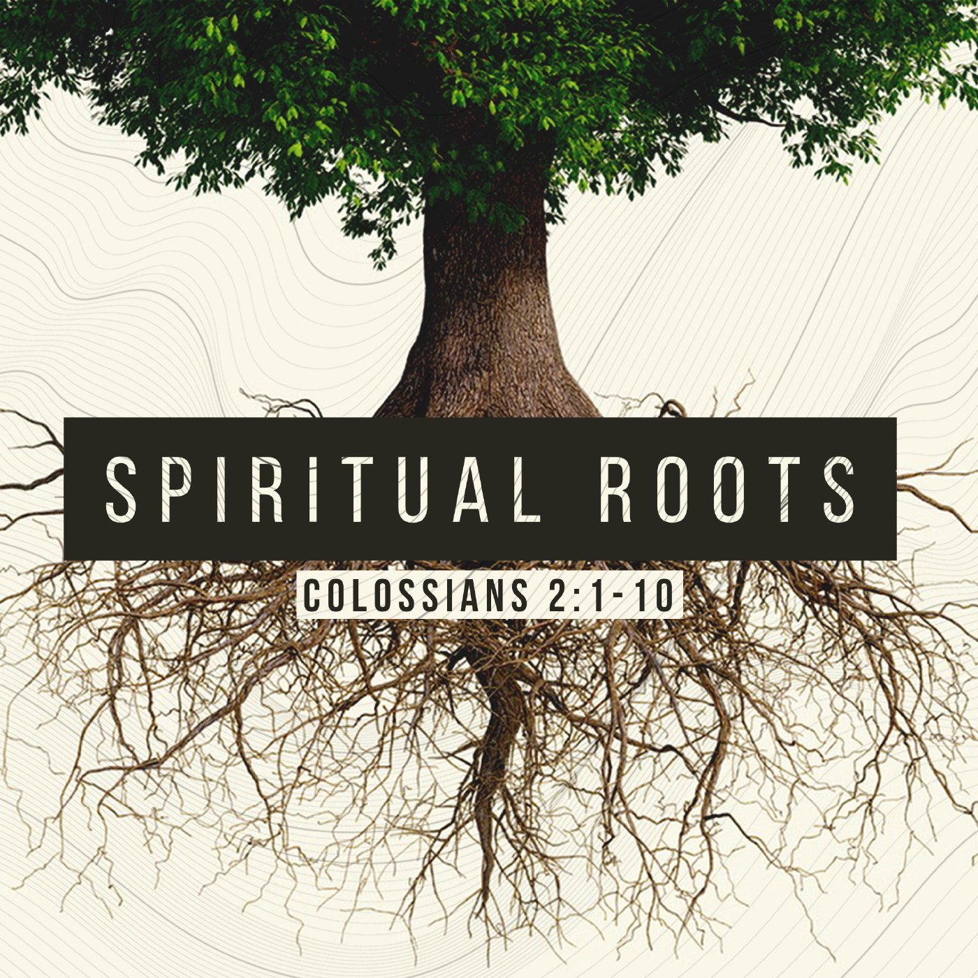 COLOSSIANS SERIES