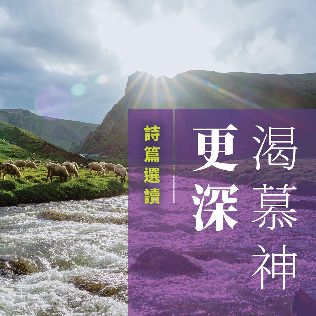 我心等候主 episode artwork