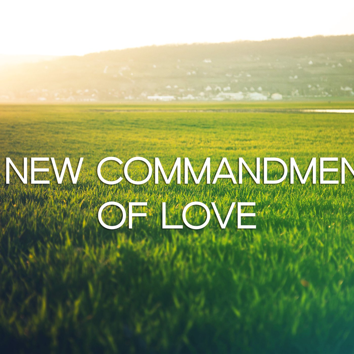 A New Commandment of Love