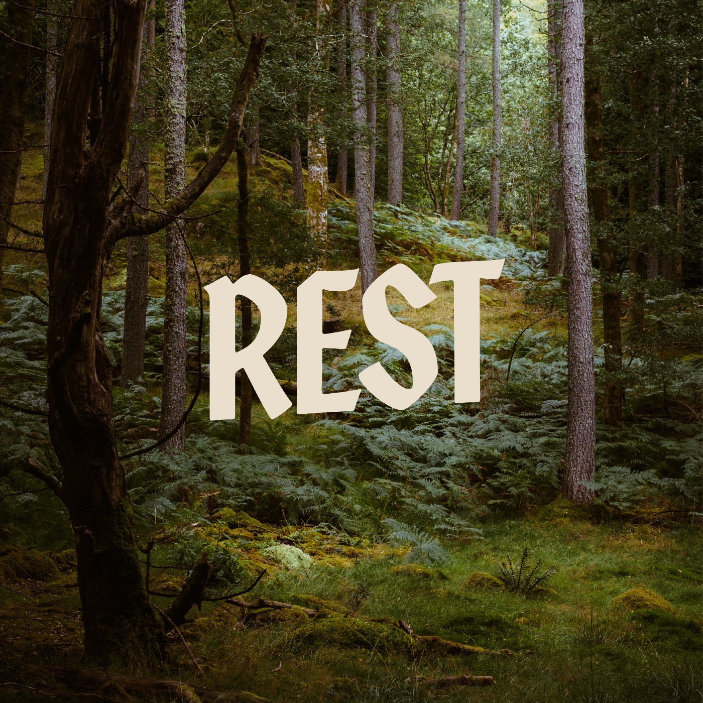 Rest