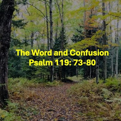 The Word and Confusion Psalm 119:73-80 episode artwork