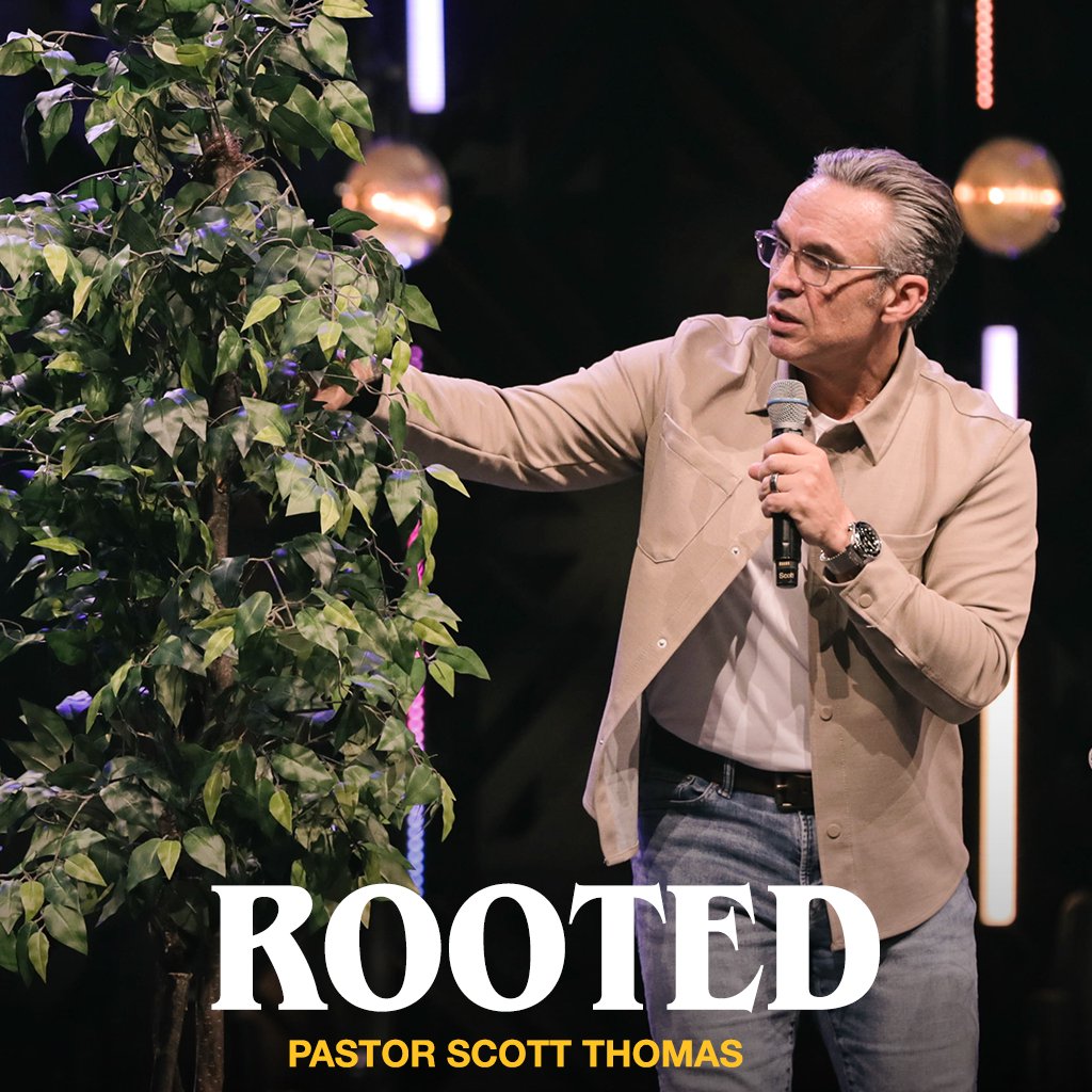 Rooted episode artwork