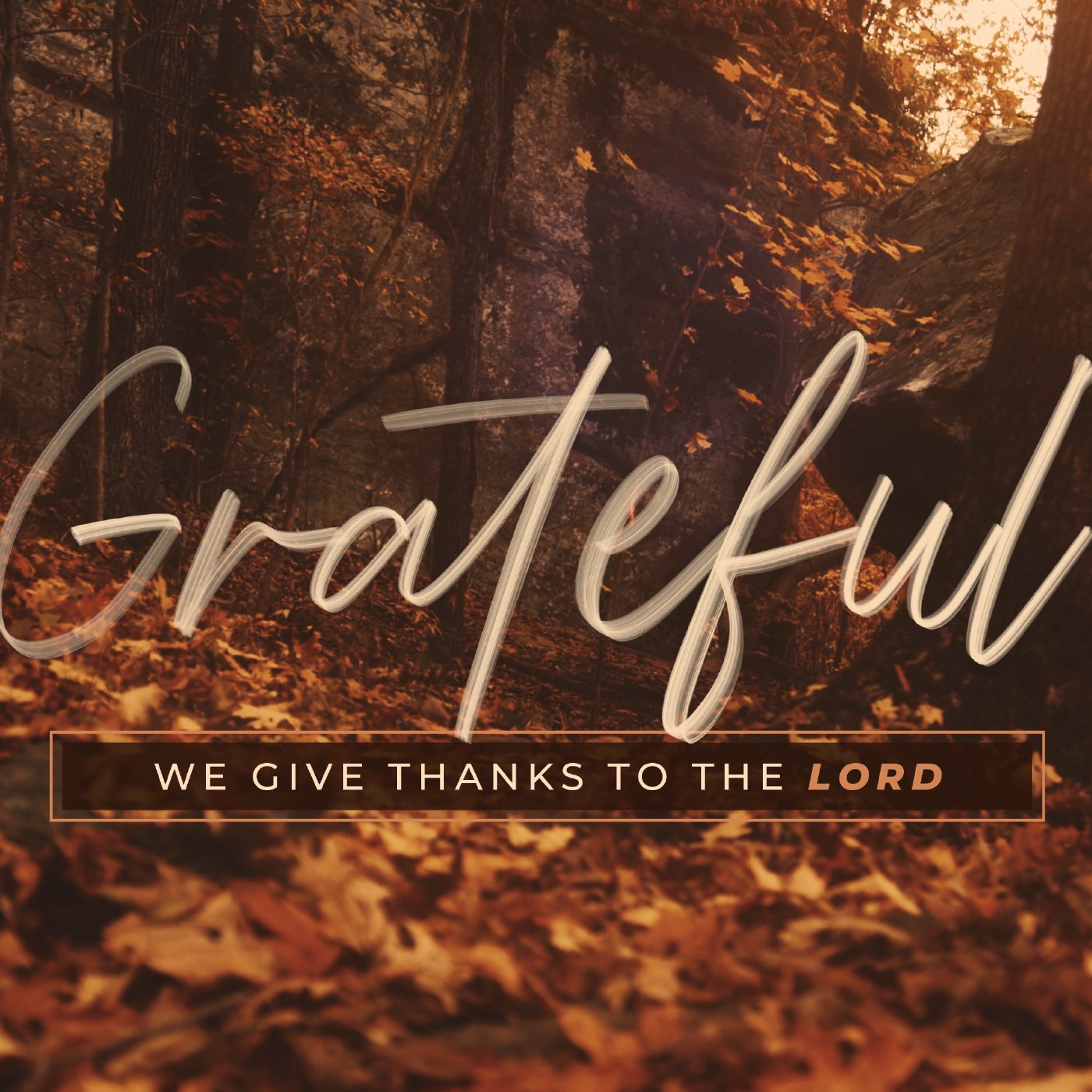 Manna Fellowship Sunday Sermons
