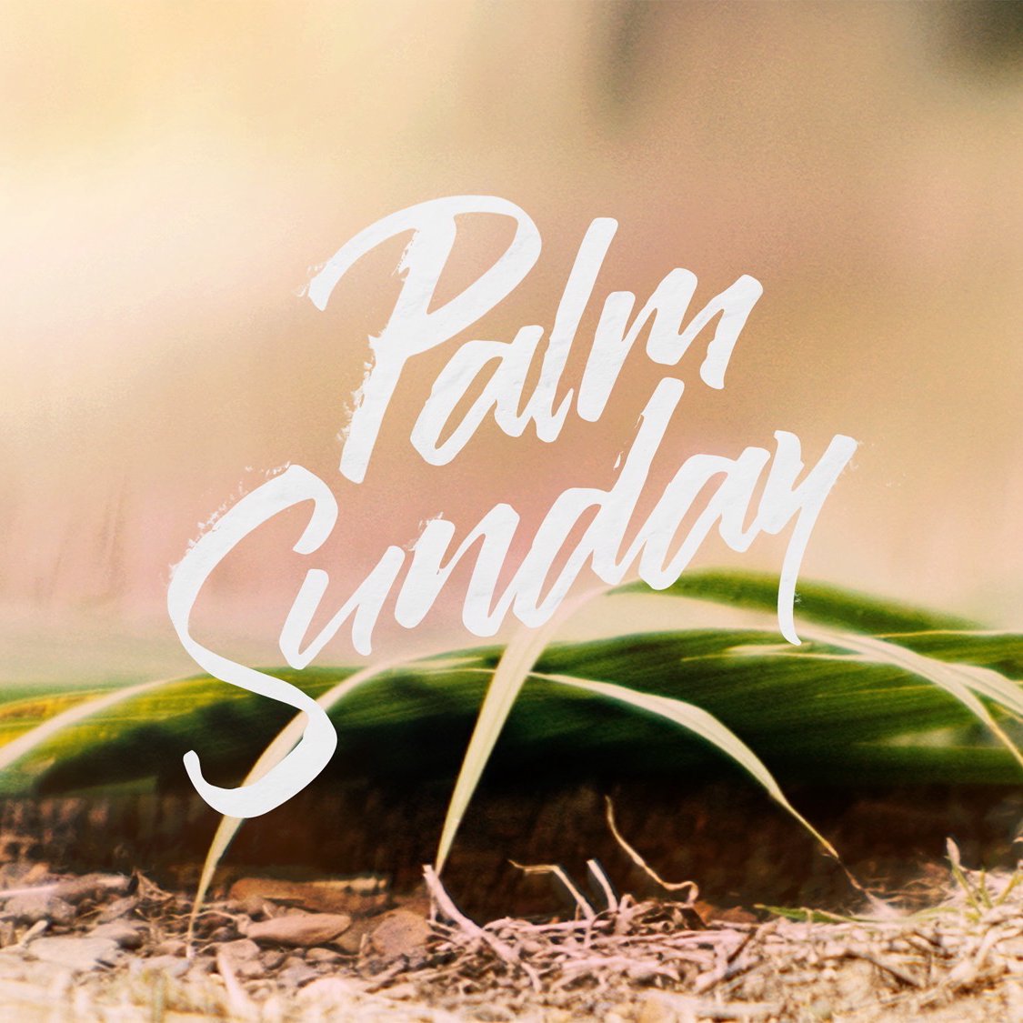 04-10-22 | Palm Sunday: The Triumphal Entry | Jay Adkins episode artwork