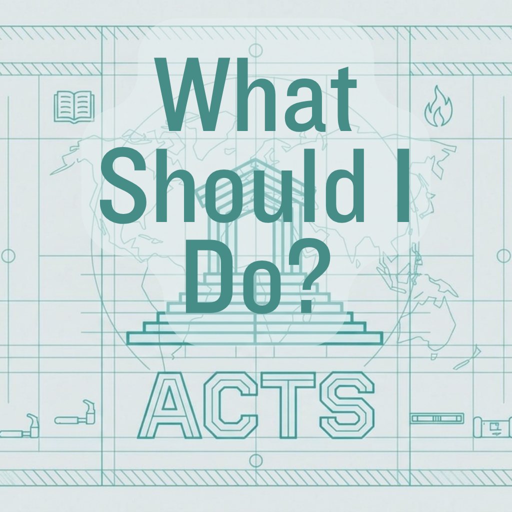Sermon - What Should I Do?