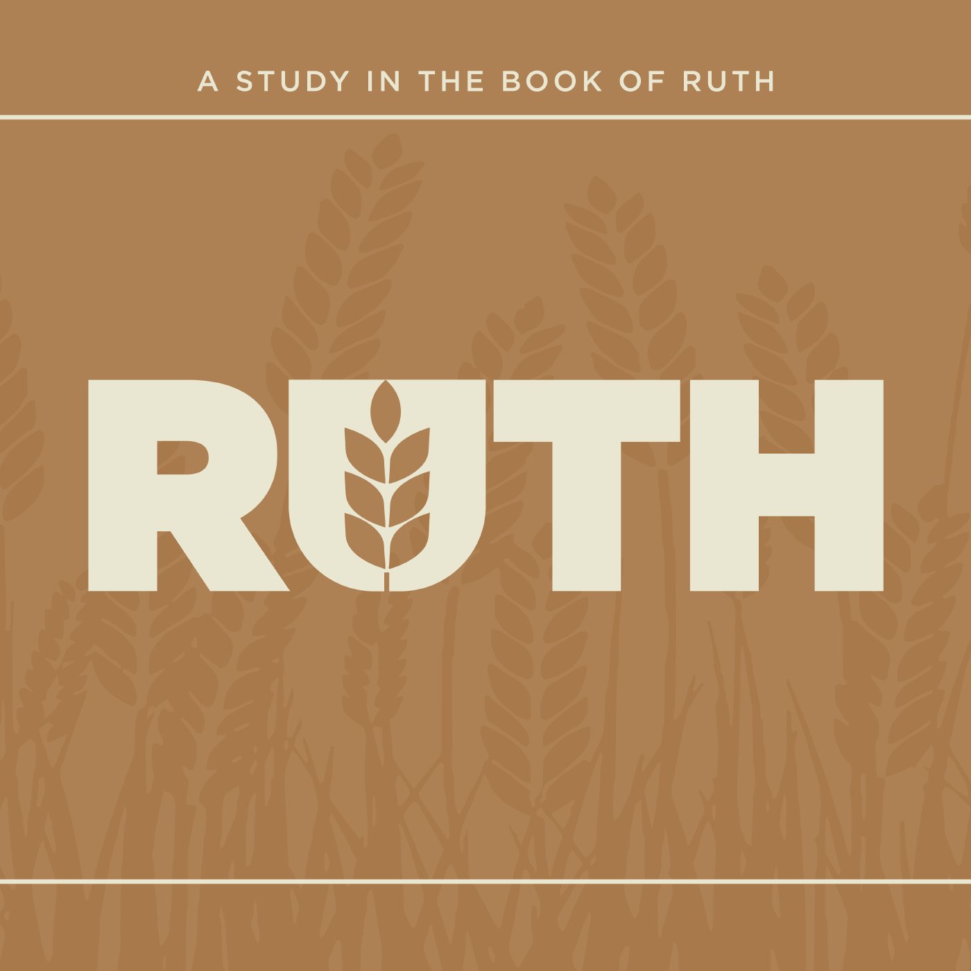 Redemption PT. 2 (Ruth 4:13-22)